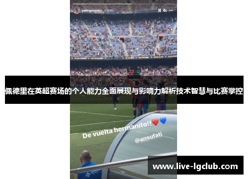 佩德里在英超赛场的个人能力全面展现与影响力解析技术智慧与比赛掌控